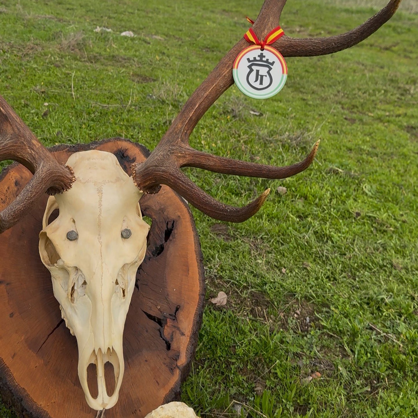 Marca Reses Personalizados - PACK 5UND